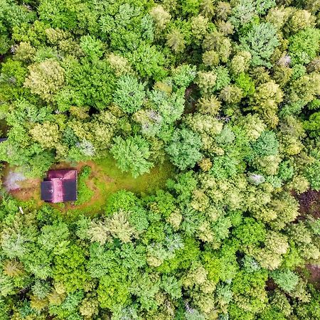 Lost Pond Cabin Schroon Lake Bagian luar foto