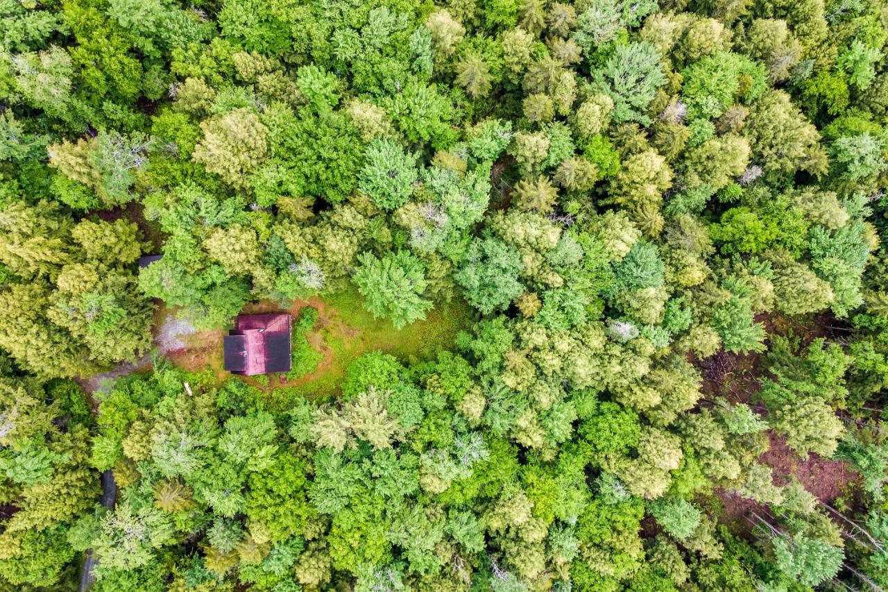 Lost Pond Cabin Schroon Lake Bagian luar foto